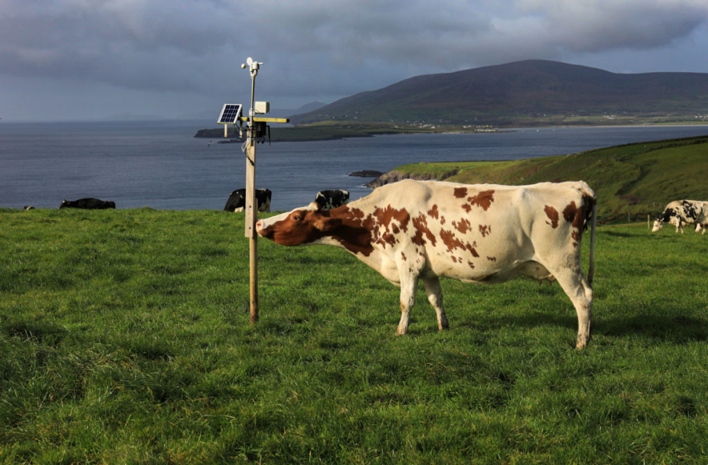Digital Technology for Precision Farming | Dingle Peninsula