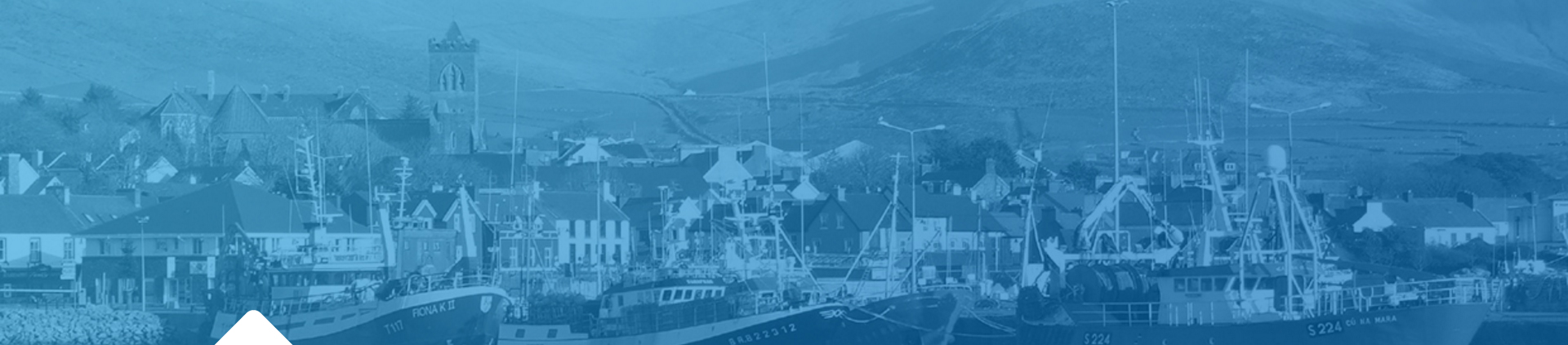 Net Feasa to play a lead role in the digitisation of the supply chain with the announcement of IoTPASS™